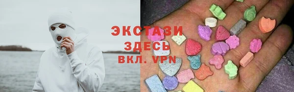 индика Киреевск