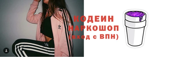 винт Чердынь