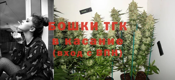 винт Вяземский