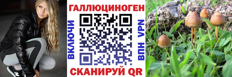 Галлюциногенные грибы мицелий  Дагестанские Огни 